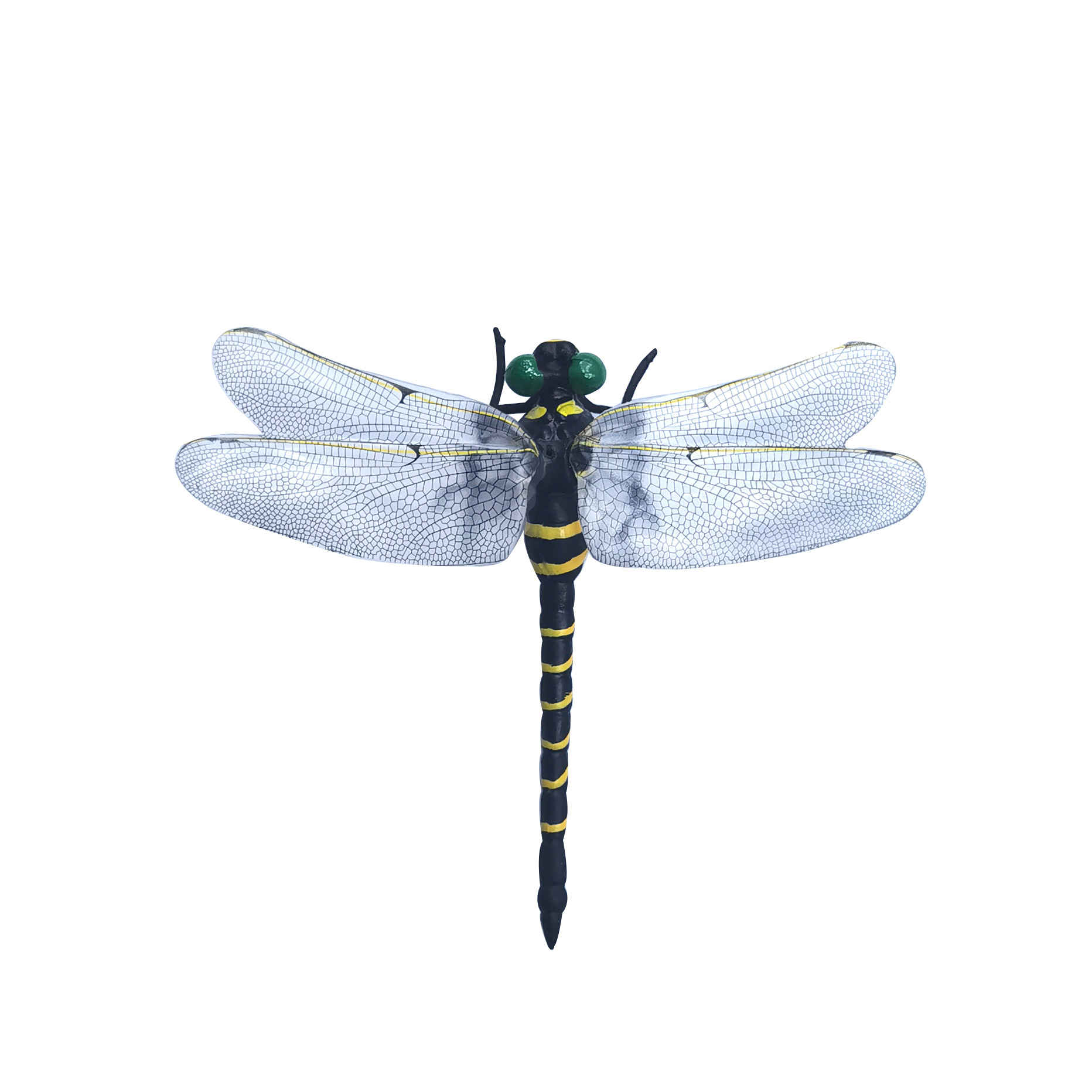 Dragonfly model